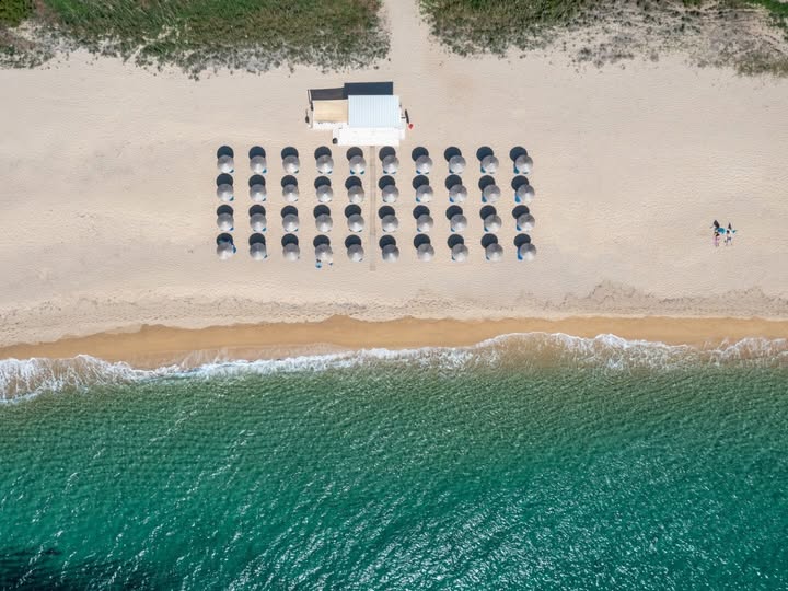 Η ψηφιοποίηση που έγινε… ψηφιακή γραφειοκρατία