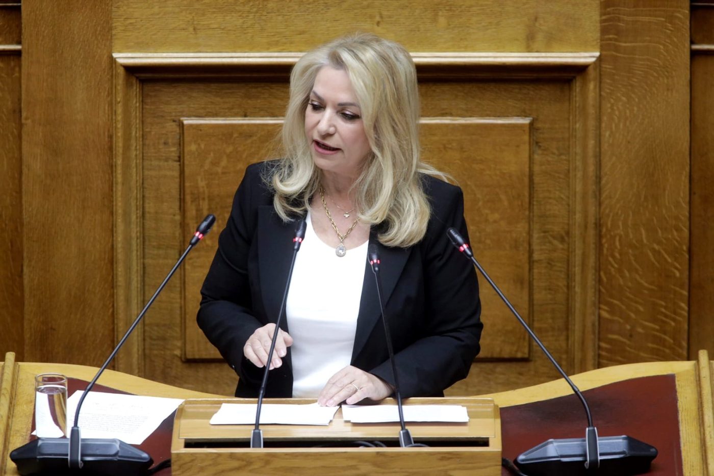 Άννα Μάνη | Ομιλία στη Βουλή για ενίσχυση Π.Υ. και αποκατάσταση ζημιών