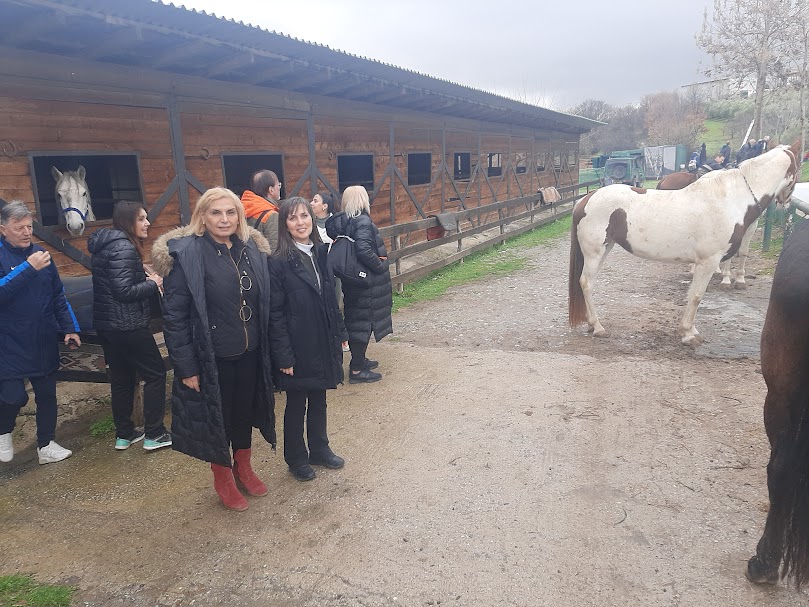 Επιμορφωτική Δράση Εκπαιδευτικών Φυσικής Αγωγής: «Θεραπευτική Ιππασία»